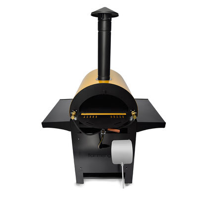 F2 Pizza Oven